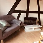 Le Petit Colmarien Hyper-centre 公寓 科尔马