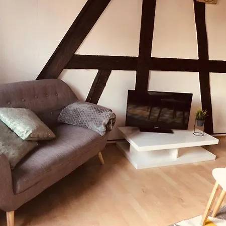 Le Petit Colmarien Hyper-centre Apartment Colmar