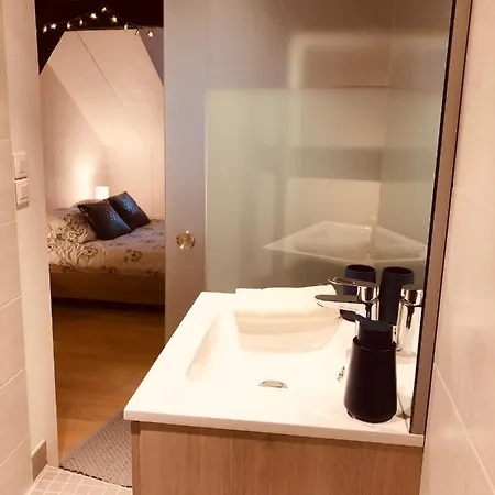 アパート Le Petit Colmarien Hyper-centre *