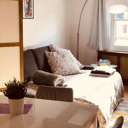 Apartment Le Petit Colmarien Hyper-centre Colmar
