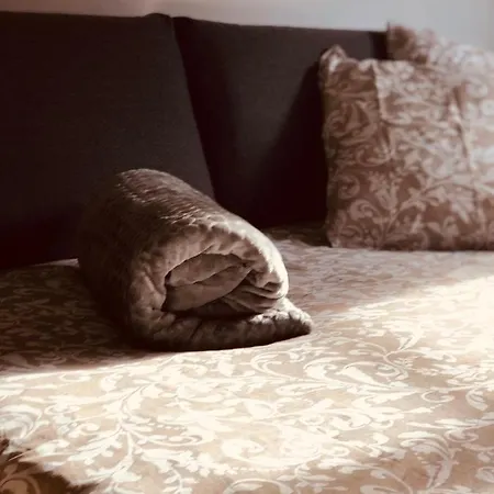 Le Petit Colmarien Hyper-centre コルマール