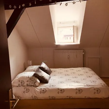 Apartment Le Petit Colmarien Hyper-centre Colmar