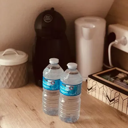 アパート Le Petit Colmarien Hyper-centre コルマール