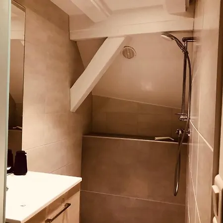 Le Petit Colmarien Hyper-centre アパート