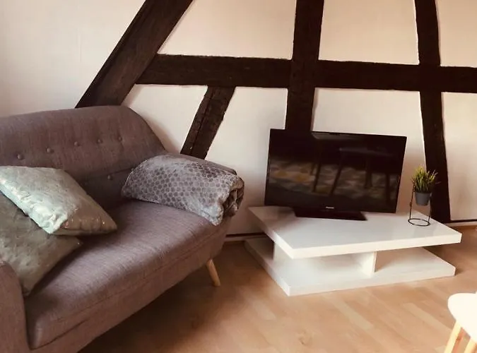 Le Petit Colmarien Hyper-centre Apartament Colmar