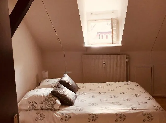 Apartament Le Petit Colmarien Hyper-centre Colmar