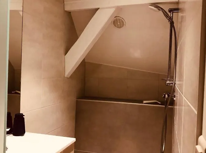 Le Petit Colmarien Hyper-centre Apartament